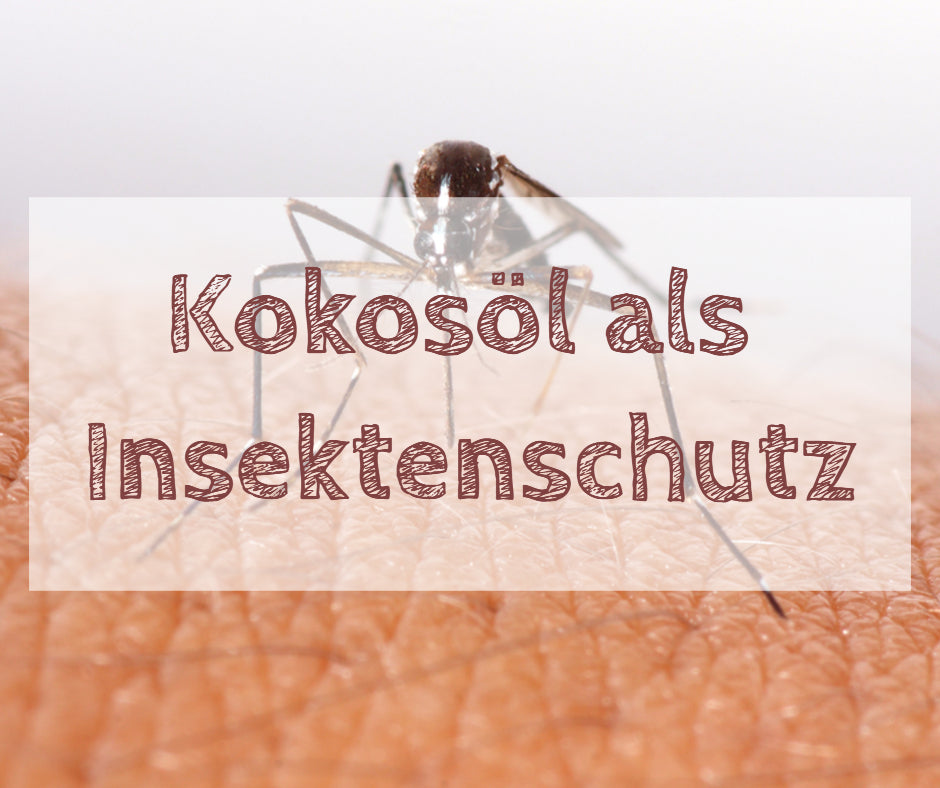 Kokosöl als Insektenschutz