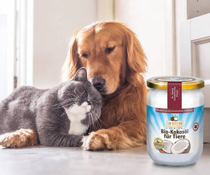 Premium Bio-Kokosöl für Tiere