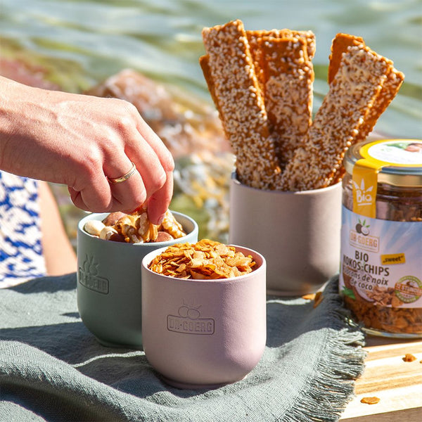Premium Bio-Kokoschips